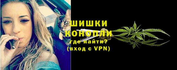 тгк Фёдоровский