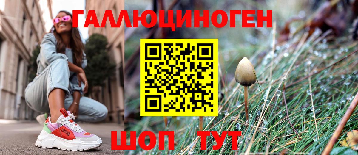 Галлюциногенные грибы Cubensis Алексеевка