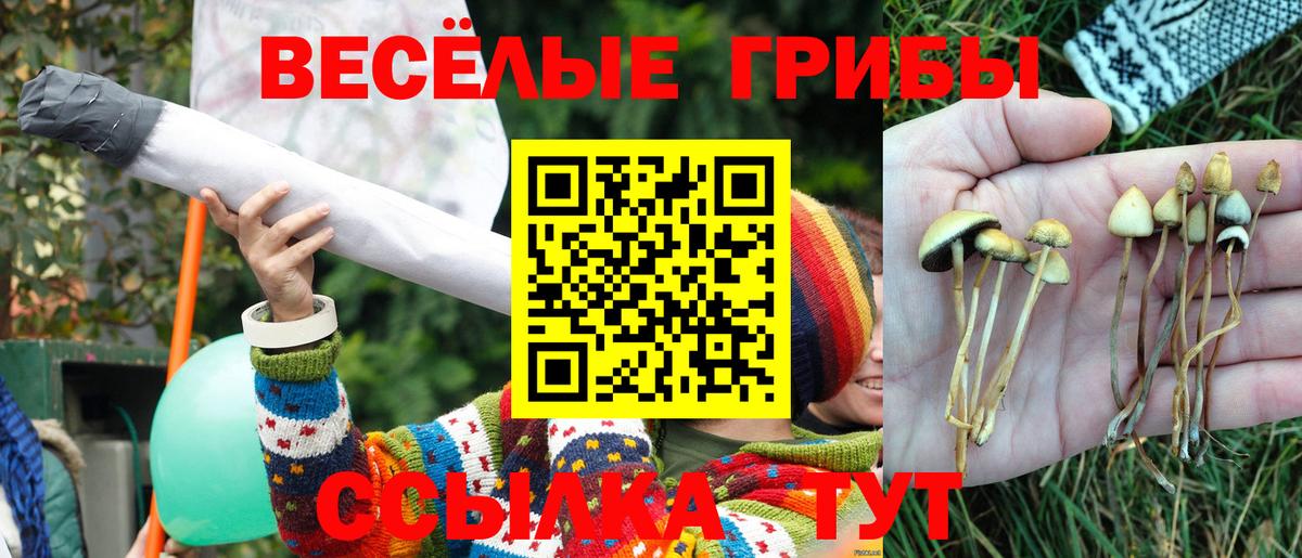 Галлюциногенные грибы ЛСД  Алексеевка  Галлюциногенные грибы прущие грибы 